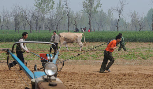 河南農(nóng)民趁墑播種