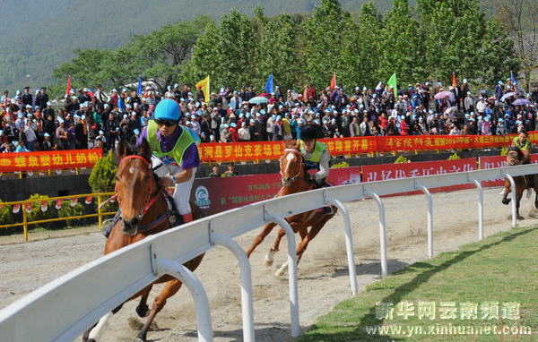 大理三月街賽馬會(huì)展開精彩競技