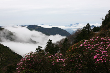 神農(nóng)架公布旅游節(jié)景區(qū)門(mén)票優(yōu)惠政策