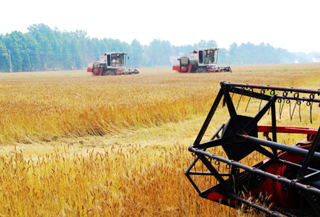 河南潢川：“農(nóng)民專業(yè)合作社”助長農(nóng)民增收