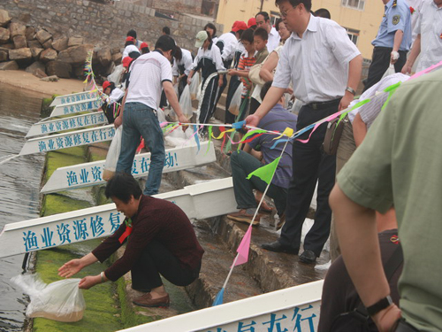 山東省實施大規(guī)模海洋增資放流修復(fù)漁業(yè)資源