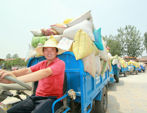 河南寧陵：農(nóng)民售糧排長龍