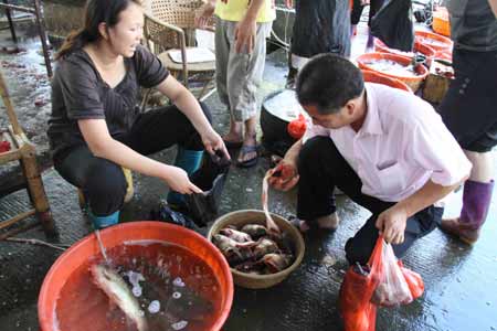 紫金污水泄漏重創(chuàng)當(dāng)?shù)貪O業(yè)（組圖）