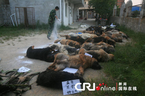 29只警犬服驅(qū)蟲藥后死亡