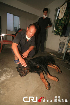 29只警犬服驅(qū)蟲藥后死亡