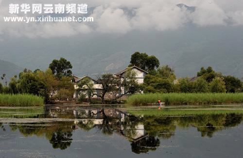 大理濕地保護(hù)見成效
