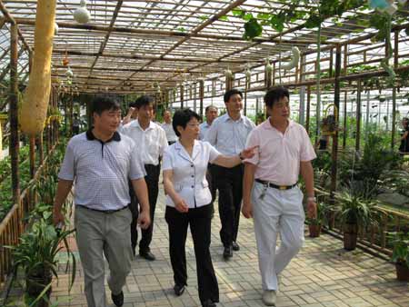 江蘇副省長黃莉新考察黃橋老區(qū)現(xiàn)代高效農(nóng)業(yè)