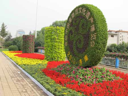 600萬(wàn)盆鮮花扮靚泉城濟(jì)南（圖）