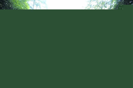 南岸“使館路” 日軍轟炸時的避難所