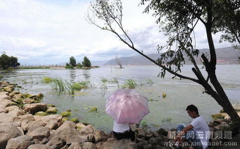 大理洱海水質(zhì)提升 生態(tài)環(huán)境明顯改善