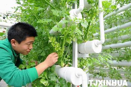 天津高端科技發(fā)展農(nóng)業(yè)