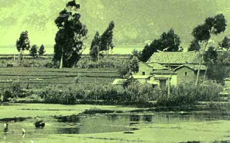 昆明：福保村舉辦“中國(guó)農(nóng)民藝術(shù)節(jié)”
