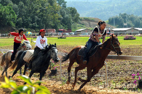 云南少數(shù)民族傳統(tǒng)體育運(yùn)動會賽馬比賽舉行