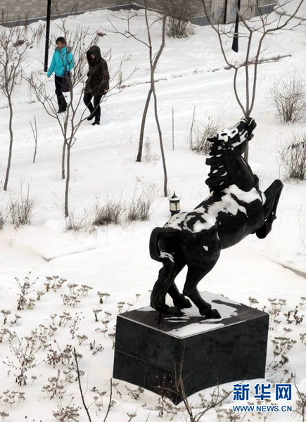 我國北方多個(gè)城市遭受暴雪襲擊(圖)