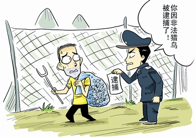 非法獵鳥“第一案”判決