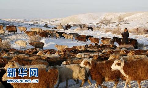 新疆阿勒泰百萬牲畜大轉場