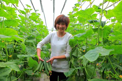 “農(nóng)超對接”穩(wěn)菜價（圖）