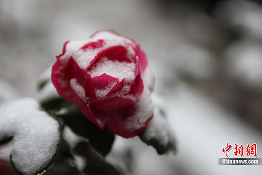 中國大部分地區(qū)普遍降溫 迎來降雪天氣