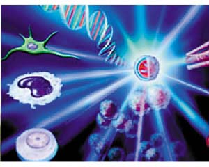 美科學雜志公布十大科學突破 中國兩項上榜(圖)