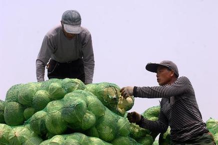 蘋(píng)果價(jià)