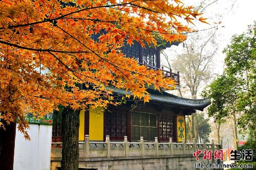 盤點(diǎn)國內(nèi)十大“秋色”