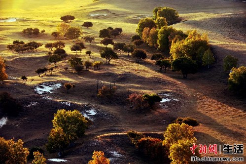 盤點(diǎn)國內(nèi)十大“秋色”