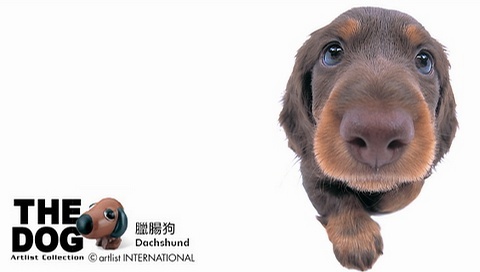 動(dòng)物小了才可愛！超級(jí)萌的小動(dòng)物