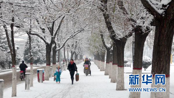 “暖冬”漸行漸遠(yuǎn) 全球變暖暫時(shí)停滯了嗎