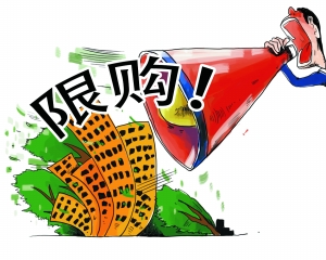 23城密集表態(tài)明年繼續(xù)限購 房價(jià)跌幅或超08年