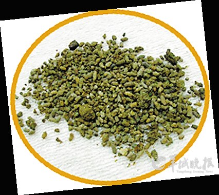 盤點(diǎn)動(dòng)物糞便6大妙用：抹香鯨糞便可做香水