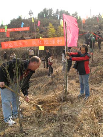 百名外國(guó)專家齊聚銀山參加植樹活動(dòng)