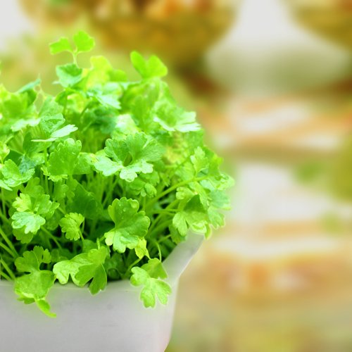 30種神奇的抗衰老食物！