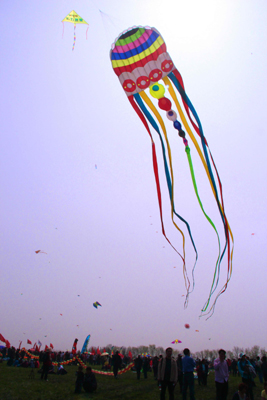 海內(nèi)風(fēng)箏高手競技第八屆濰坊世界風(fēng)箏錦標(biāo)賽