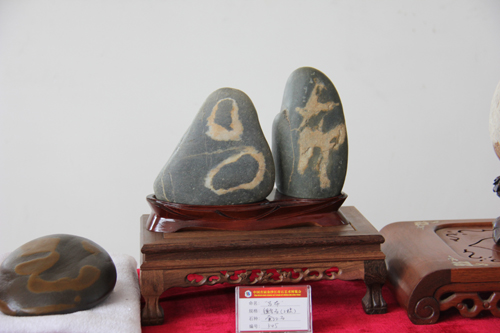 中國首屆金沙江奇石藝術(shù)博覽會展品令人嘆為觀止