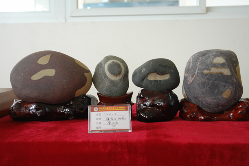 中國首屆金沙江奇石藝術(shù)博覽會展品令人嘆為觀止