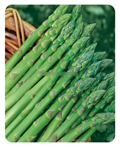 美膚推介：排毒功能最強(qiáng)的19種食物(組圖)