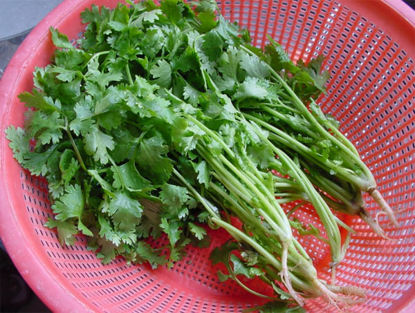 細(xì)數(shù)8種最有益的“難吃”食物