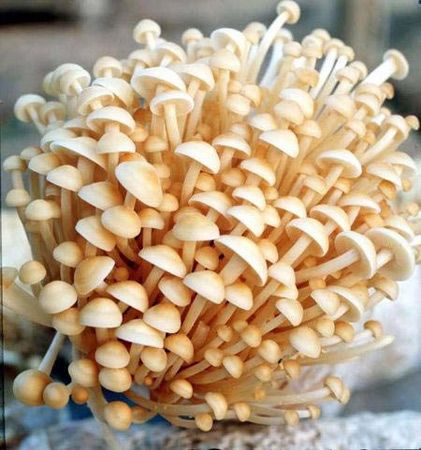 女性養(yǎng)生：胸部愛(ài)“吃”哪些食物？