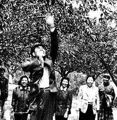 周恩來十大可愛瞬間 偉人也有萌態(tài)