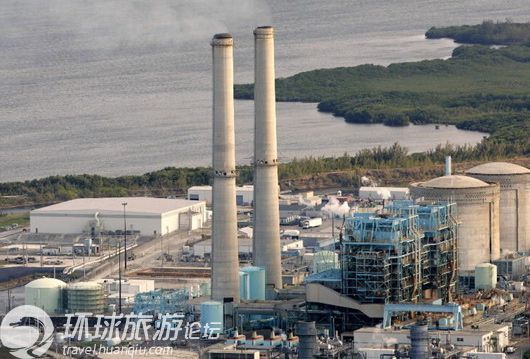 揭美國(guó)核電站鱷魚(yú)成群之謎