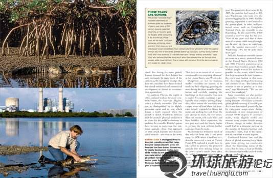 揭美國(guó)核電站鱷魚(yú)成群之謎