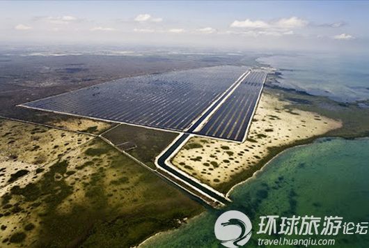 揭美國(guó)核電站鱷魚(yú)成群之謎