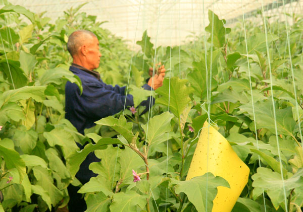 生態(tài)農(nóng)業(yè)，生態(tài)運城