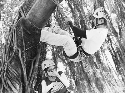 爬樹課、生死課、三國殺 高校新奇課迭出引爭議