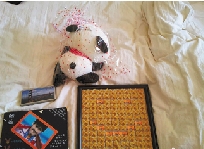 奧運冠軍葉詩文開始設(shè)計新家洋娃娃終于有大房間