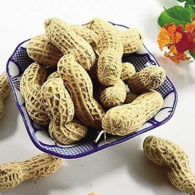 食療養(yǎng)生：盤點(diǎn)營(yíng)養(yǎng)專家最愛吃的零食