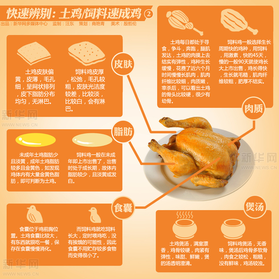 新華漫畫(huà):如何分辨土雞VS速成雞
