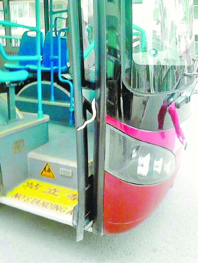 武漢一公交車(chē)上驚現(xiàn)1米長(zhǎng)毒蛇(圖)