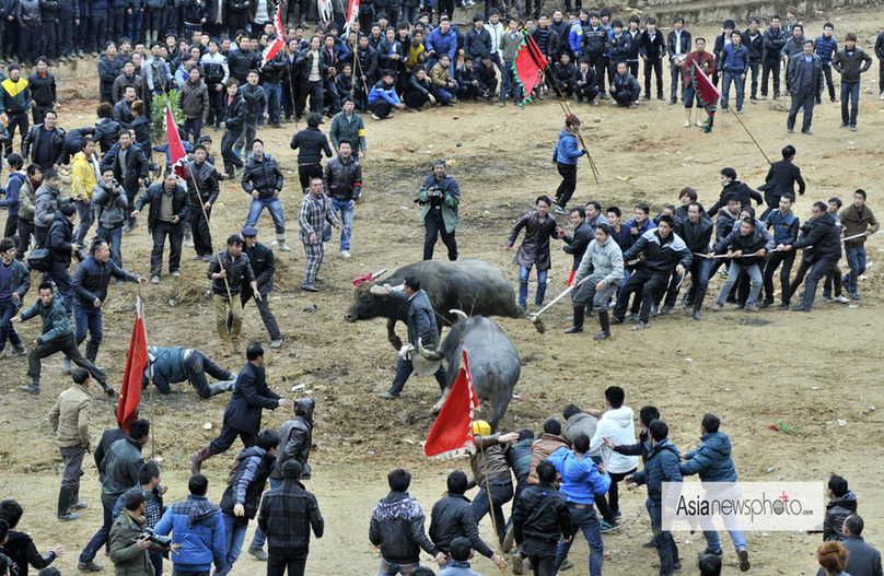 中國(guó)日?qǐng)?bào)2013春節(jié)圖片精選