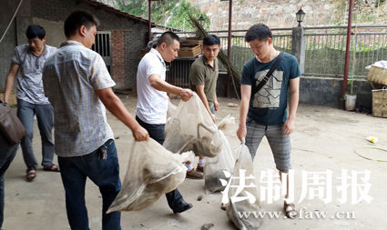 岳陽日均吃蛇2千斤遭圍觀 揭秘非法經(jīng)營窩點（組圖）